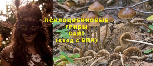 круглые Богородск