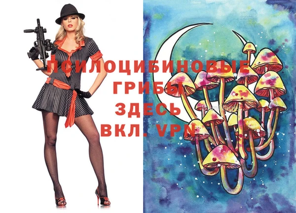 синтетический гашиш Богородицк
